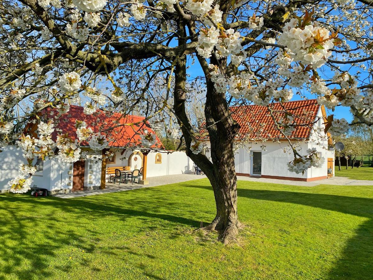 Ferienhaus Berta Sassnitz Exterior foto